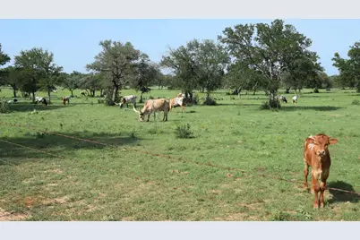 2116 County Road 403, Marble Falls, TX 78654 - Photo 7