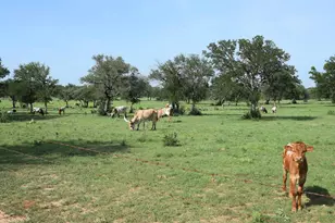 2116 Co Rd 403, Marble Falls, TX 78654 - Photo 7