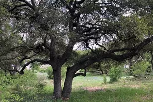 Quick Circle, Horseshoe Bay, TX 78657 - Photo 1