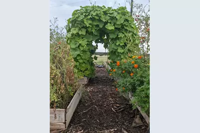 124 Donnie Drive, Lampasas, TX 76550 - Photo 29