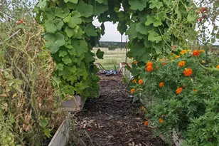 124 Donnie Dr, Lampasas, TX 76550 - Photo 29