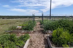 124 Donnie Dr, Lampasas, TX 76550 - Photo 23