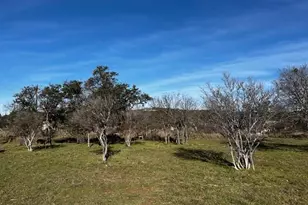 Lot 152 & 153 County Road 128, Burnet, TX 78611 - Photo 23