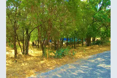 737 Birch 8 Lots All Together, Cottonwood Shores, TX 78657 - Photo 7