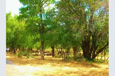 735 Birch (Lots Street To Street) Lane, Cottonwood Shores, TX 78657 - Photo 1