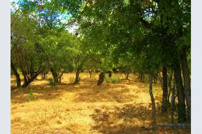 737 Birch 8 Lots All Together, Cottonwood Shores, TX 78657 - Photo 5
