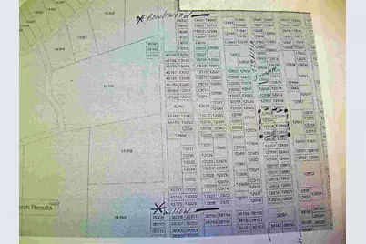 735 Birch (4Lots Street To Street) Lane, Cottonwood Shores, TX 78657 - Photo 7