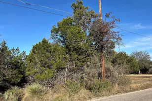 118 W Greenbriar, Granite Shoals, TX 78654 - Photo 3