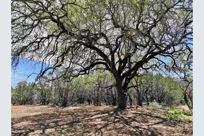285 Donnie Drive, Lampasas, TX 76550 - Photo 5