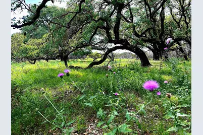 285 Donnie Drive, Lampasas, TX 76550 - Photo 19