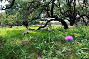 285 Donnie Dr, Lampasas, TX 76550 - Photo 19