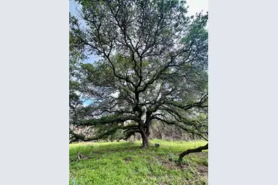 285 Donnie Drive, Lampasas, TX 76550 - Photo 15