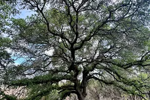 285 Donnie Dr, Lampasas, TX 76550 - Photo 15