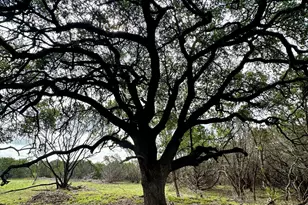 285 Donnie Dr, Lampasas, TX 76550 - Photo 17