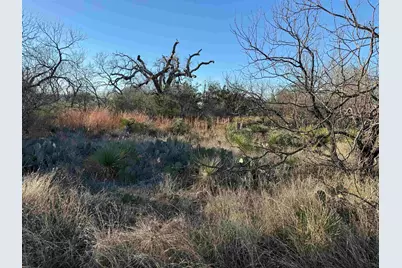 Skyline, Kingsland, TX 78639 - Photo 5