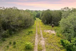 2308 Co Rd 414, Spicewood, TX 78669 - Photo 23