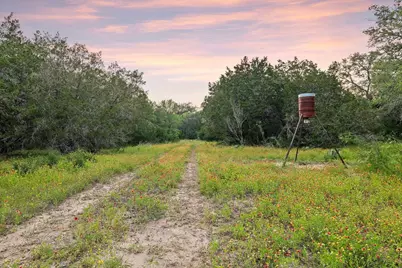 2308 County Road 414, Spicewood, TX 78669 - Photo 7
