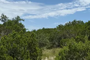 Lot 249 Woodhollow Dr, Bertram, TX 78605 - Photo 13