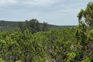 Lot 249 Woodhollow Dr, Bertram, TX 78605 - Photo 17