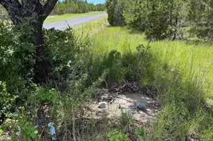 Lot 249 Woodhollow Dr, Bertram, TX 78605 - Photo 11