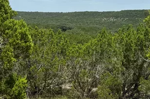 Lot 249 Woodhollow Dr, Bertram, TX 78605 - Photo 15