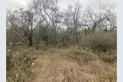 Cedarhill, Granite Shoals, TX 78654 - Photo 5