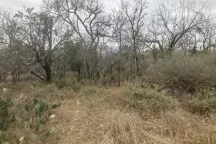 Cedarhill, Granite Shoals, TX 78654 - Photo 1