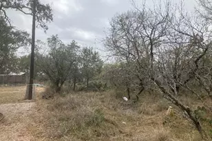 Cedarhill, Granite Shoals, TX 78654 - Photo 3