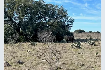 530 Cr 406, San Saba, TX 76877 - Photo 15