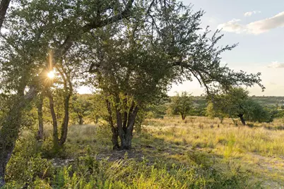 68 Leaning Madrone Drive, Johnson City, TX 78636 - Photo 19