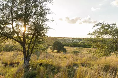68 Leaning Madrone Drive, Johnson City, TX 78636 - Photo 29