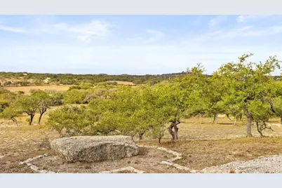 232 Crooked Oak Lane, Round Mountain, TX 78663 - Photo 3