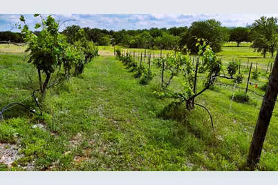 171 County Road 117, Llano, TX 78643 - Photo 25