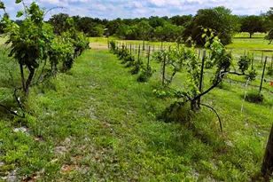 171 Co Rd 117, Llano, TX 78643 - Photo 25