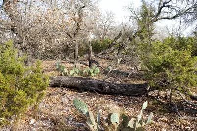 Tbd Lot 7 Whitetail Trail, San Saba, TX 76877 - Photo 7