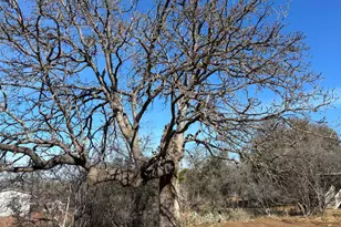 Tbd Castleshoals Dr, Granite Shoals, TX 78654 - Photo 3