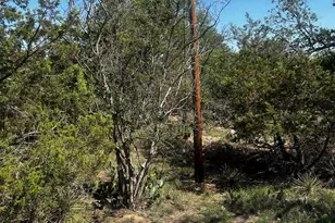 Tbd W W Castlebriar Dr, Granite Shoals, TX 78654 - Photo 7