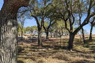418 Polvado, Round Mountain, TX 78636 - Photo 21