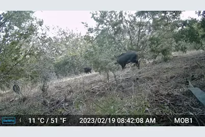 180 Robison Road, Bertram, TX 78605 - Photo 9