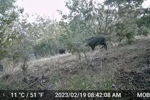 180 Robison Rd, Bertram, TX 78605 - Photo 9