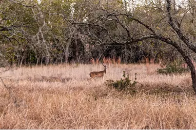 4300 Travis Peak Trl, Marble Falls, TX 78654 - Photo 13