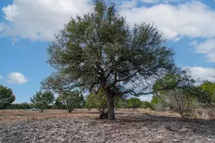 Tbd Burnet Oaks Lot 20, Burnet, TX 78611 - Photo 9