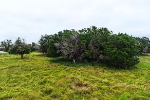 8089 E Fm 580, Kempner, TX 76539 - Photo 11
