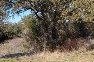 Lot 50 Pristine Pass, Buchanan Dam, TX 78609 - Photo 1