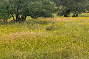 100 Ridge, Horseshoe Bay, TX 78657 - Photo 1