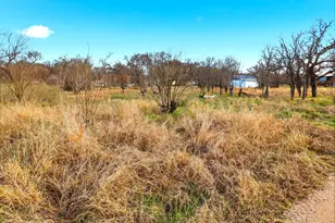 1304 Shady Forest Dr, Granite Shoals, TX 78654 - Photo 3