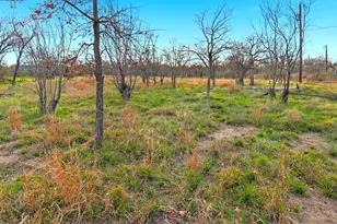 1304 Shady Forest Dr, Granite Shoals, TX 78654 - Photo 5