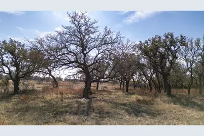 100 S Waterbuck Way, Lampasas, TX 76550 - Photo 13