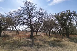 100 S Waterbuck Wy, Lampasas, TX 76550 - Photo 13