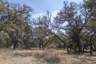 Tbd Blackbuck Ridge Dr Lot 181, Lampasas, TX 76550 - Photo 11